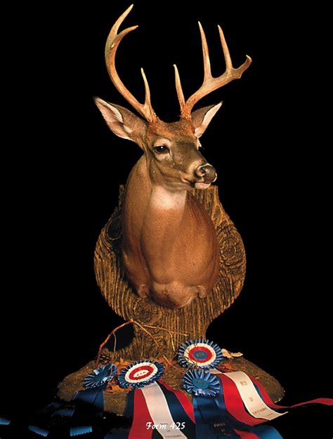 Finished Reproduction Big Game heads and life-size forms have exceptional detail and are customer ready! These <b>reproductions</b> are great for zoos, museums and hunting stores. . Taxidermy supply